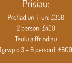 Prisiau:  Profiad un-i-un: £350 2 berson: £450 Teulu a ffrindiau (grwp o 3 – 6 person): £600